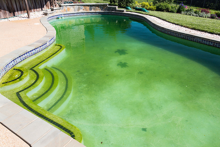 Professional Pool Technician Cleaning NJ - Pool Recovery Service