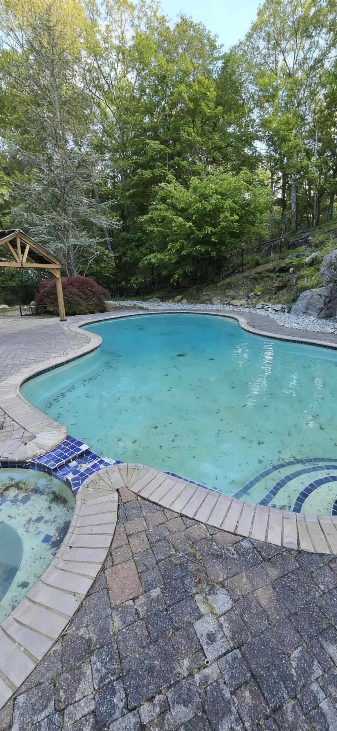 Dirty Pool Before Deep Cleaning - New Jersey Pool Service